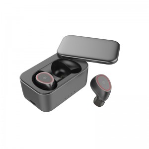 GW12 In-Ear-Übersetzer Ohrhörer mit Ladebox